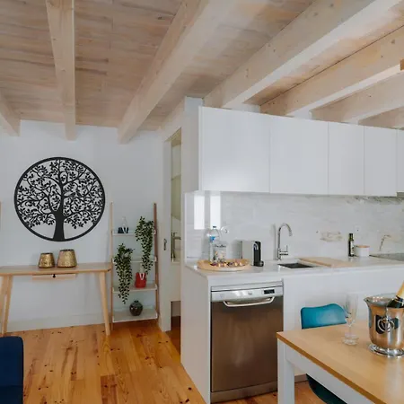 Lovely Nest Downtown